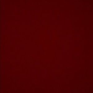 Meet your Posher, Ramiro